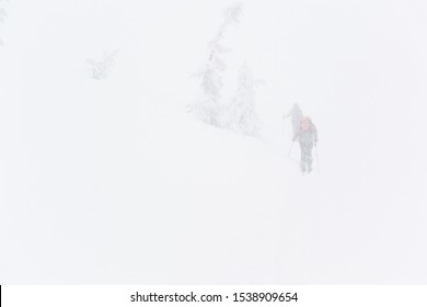 Snow White Mountain, Snowstorm, Back Country, Japan