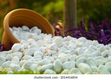 Snow white pebble stones inside a flower pot as a garden decoration