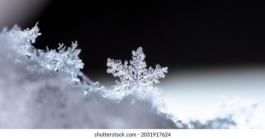Snow in winter close-up. Macro image of snowflakes, winter holiday background. 