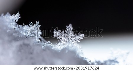 Snow in winter close-up. Macro image of snowflakes, winter holiday background. 