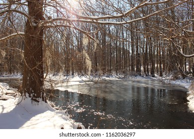 Snow Winter Forest In Florence South Carolina 