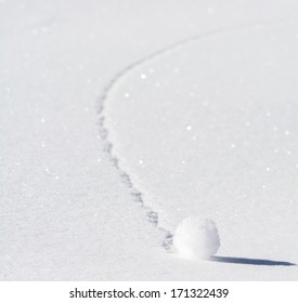 Snowball