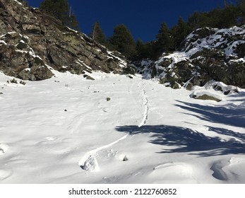 Snowball Rolling Down The Mountain.