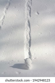 A Snowball Rolling Down A Slope