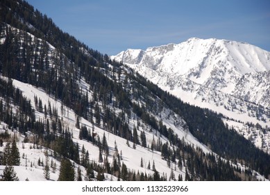 Snowbird Utah Slopes