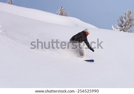 Similar – Image, Stock Photo deep snow intoxication