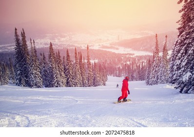 Snowboarder glides on fresh snow among spruce forest at sunset. Winter active sport concept. - Powered by Shutterstock