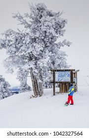 A Snowboarder At The Powder Mountain Ski Resort In Utah