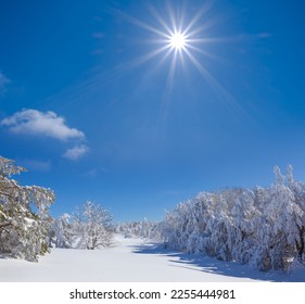 snowbound winter forest in light of sparkle sun, beautiful seasonal natural background - Shutterstock ID 2255444981