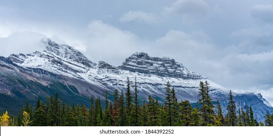 Snow-capped Cirrus Mountain In Late Autumn Season. Seen From The Icefields Parkway (Alberta Highway 93), Jasper National Park, Canada.