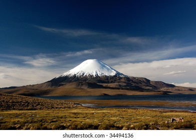 Snowcapped cone of the vulcano Parinacota and lago Chungara, National Park Lauca, Chile