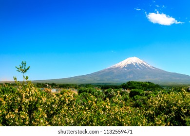 Snow-capped Mountain 