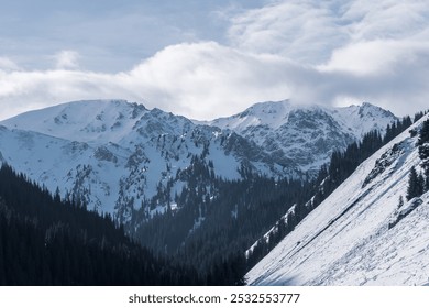 Snow-capped mountain peaks emerge against a cloudy sky, with dark evergreen trees adorning the slopes and creating contrasting shadows. - Powered by Shutterstock