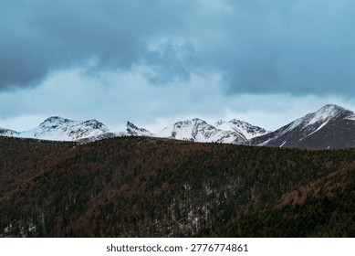 Snow-capped mountain range under dramatic cloudy sky, with dense coniferous forest in foreground, captured in Ganzi, Sichuan, China.