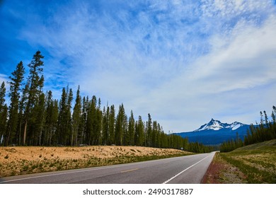 Snow-Capped Mountain Road Through Evergreen Forest in Winter Perspective - Powered by Shutterstock