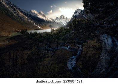 Snow-capped mountains with a serene lake illuminated by the glow of the setting sun, framed by twisted tree branches. - Powered by Shutterstock