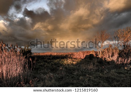 SNOWCLOUDS AT SAAREMAA