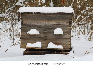 Snow-covered beehives on forzen forest