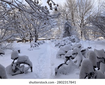 Snow-covered bicycles in a park after heavy snowfall in Sapporo, Hokkaido, Japan