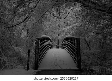 A snow-covered bridge leads into a dark, wintery forest, surrounded by bare, frost-laden branches. The monochromatic scene evokes a quiet, mysterious atmosphere. - Powered by Shutterstock