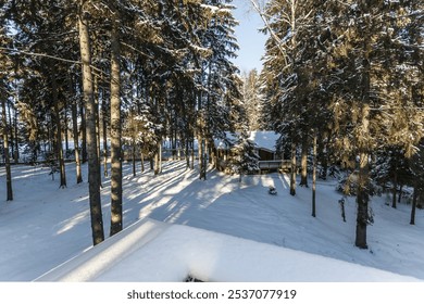 Snow-covered cabin nestled among tall pine trees in a serene winter landscape during the daytime - Powered by Shutterstock