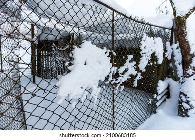 Snow-covered Chicken Coop On A Farm On A Cold Winter Morning.