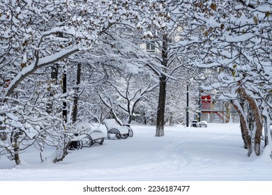 Snow-covered city park after a snowfall. Beautiful winter landscape. View of snow-covered ground, path, trees, bushes and benches. Cold snowy weather. White pure snow. Amazing winter time. - Powered by Shutterstock