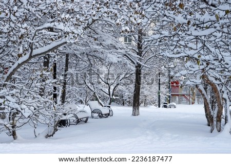 Snow-covered city park after a snowfall. Beautiful winter landscape. View of snow-covered ground, path, trees, bushes and benches. Cold snowy weather. White pure snow. Amazing winter time.