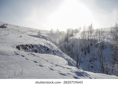 A snow-covered deep ravine with bare trees under the bright winter sun.