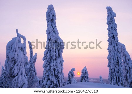 Similar – Image, Stock Photo Evening impression on the mountain