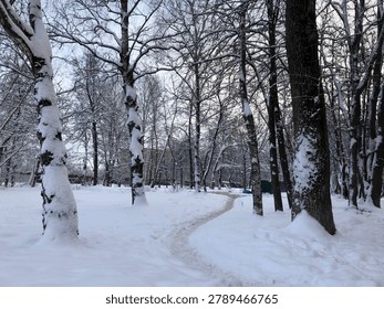 Snow-covered forest path winding through a winter woodland with bare trees and fresh snowfall.