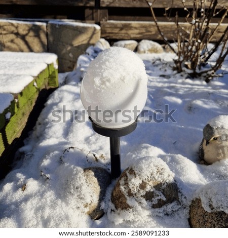 Similar – Image, Stock Photo When the frost touches Berlin
