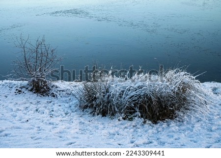 Snow-covered ground on the bank of frozen lake caused by frost days in December