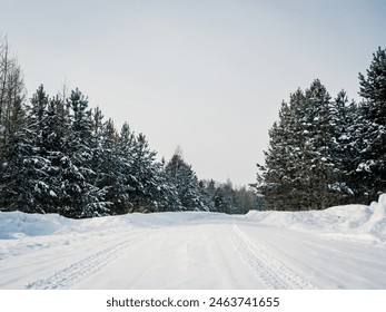 Snow-covered highway surrounded by wintery pine forest on cloudy day - Powered by Shutterstock