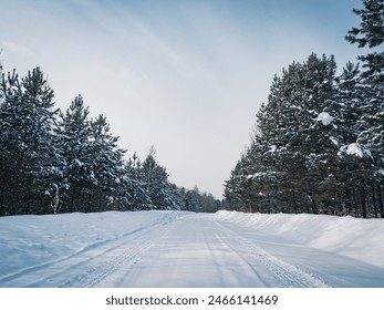 Snow-covered highway surrounded by wintery pine forest on cloudy day - Powered by Shutterstock