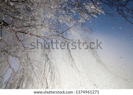 Similar – Schneegestöber Schneefall