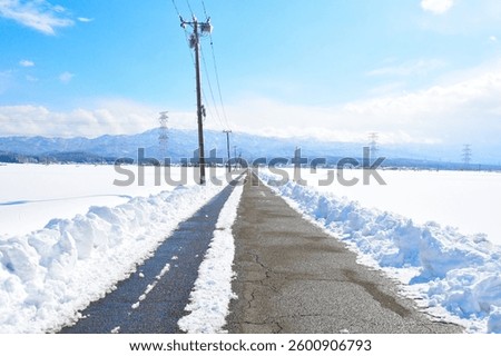 Snow-covered landscape in Niigata Prefecture