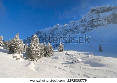 Snow-covered landscape in the swiss alps - Kanton of Apenzell, Ausserrhoden, Switzerland, Europe.