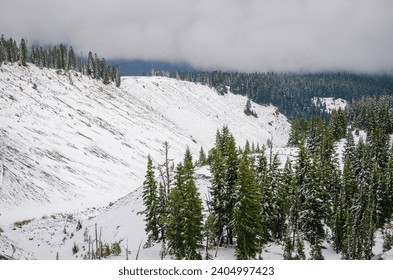 Snow-covered Mount Hood in the Mount Hood National Forest - Powered by Shutterstock