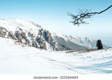 Snow-covered mountain landscape with rugged peaks, a clear blue sky, and a lone tree branch in the foreground, creating a serene winter scene. - Powered by Shutterstock