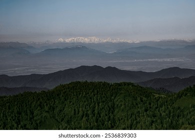 Snow-covered mountain peaks with rolling line of evergreens and mist in foreground. Bakhmaro, Georgia. oktober month. Sunlight illuminating snow covered mountain peaks towering over the tree line  - Powered by Shutterstock