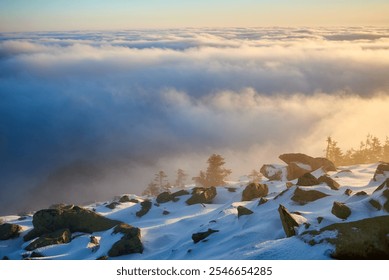 Snow-covered mountain slope at dawn, with scattered rocks and small trees adding texture to foreground. Sea of clouds below bathed in soft hues of blue and gold as sunlight gently illuminates scene. - Powered by Shutterstock