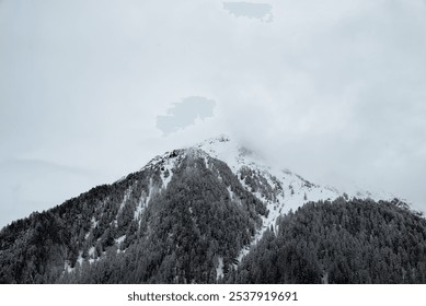 A snow-covered mountain top looms above misty pine trees, framed by a grey, cloudy sky. This tranquil scene captures the majestic beauty of winter and the soft mystery of nature. - Powered by Shutterstock