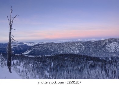 Snow-covered mountains are seen across hills and valley at sunset as a bare tree stands in the foreground. Horizontal shot.