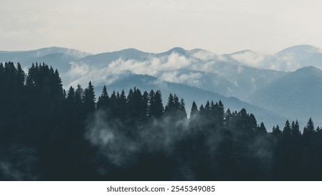 Snow-covered mountains surround a dense jungle of tall pine trees, with smoke rising into the sky, creating a peaceful yet dramatic winter landscape. - Powered by Shutterstock