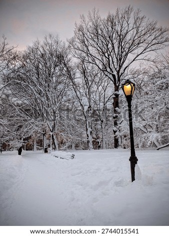 Snow-covered park path with bare trees and a glowing lamp post, New York City, NY, USA