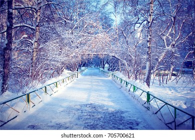 Snow-covered path