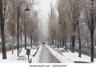Snow-covered path between trees in the winter city. Snowfall in winter on the boulevard with lampposts and benches. Wet white snow during a warm winter.