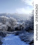 A snow-covered path leading through frosty trees toward a misty hillside castle. The winter landscape and soft light create a serene, magical atmosphere.