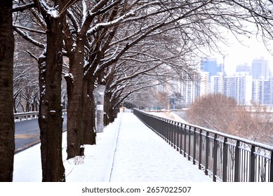 A snow-covered pathway lined with trees and a railing runs alongside a road in an urban area.